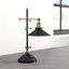 Lenius Metal Desk Lamp