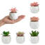 6 plantes succulentes artificielles vertes et roses