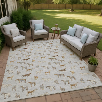 Machine Washable Indoor/Outdoor Chantille ACN2521 Animal Rug