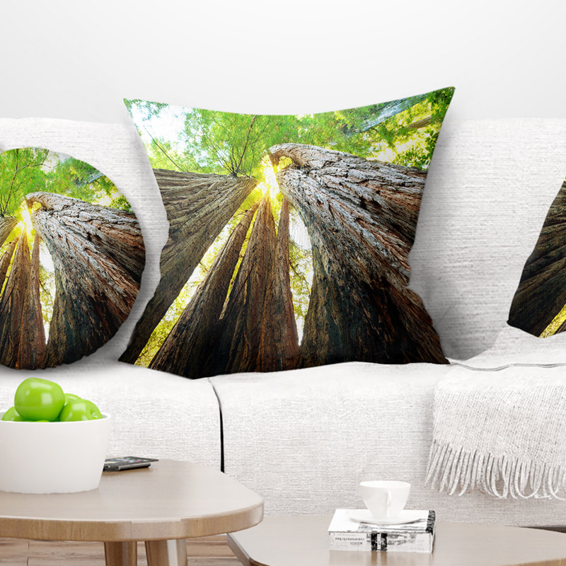 Coussin Sequoia Tree, 16 po x 1 po, Coussin décoratif