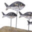 Poissons sur pied 15,5 x 2,5 x 8,5 po