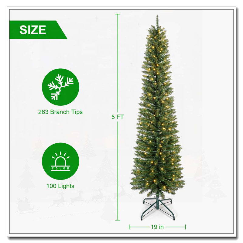 Crayon vert 6 pi Noël
