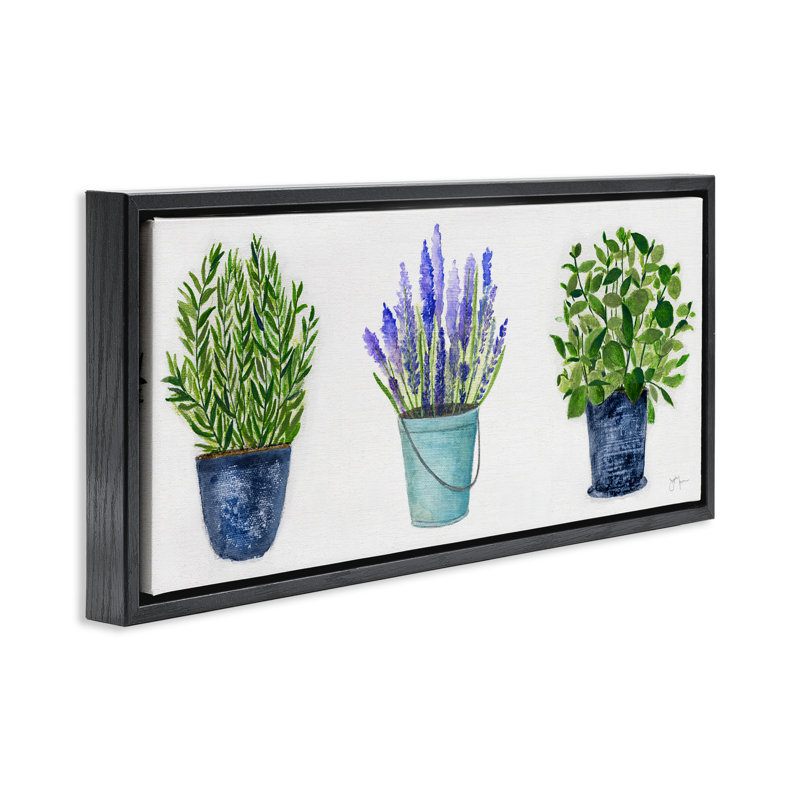 Plantes et herbes variées en pot, Cadre flottant noir de jais, H 11 po x l 25 po