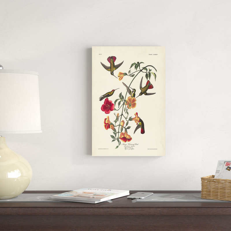 " Pl 184 Mango Hummingbird " by James Audubon Mixed Media Painting, 18" H x 12" W
