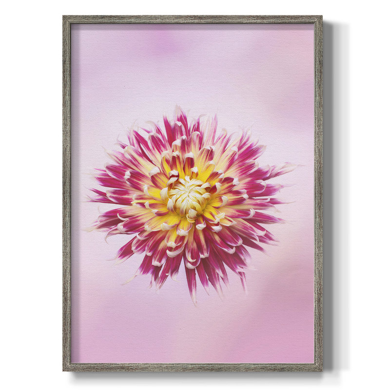 Exotic Flower Burst I, reproduction encadrée - bois massif, H 11 po x l 9 po