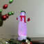 Décoration de Noël 11 po