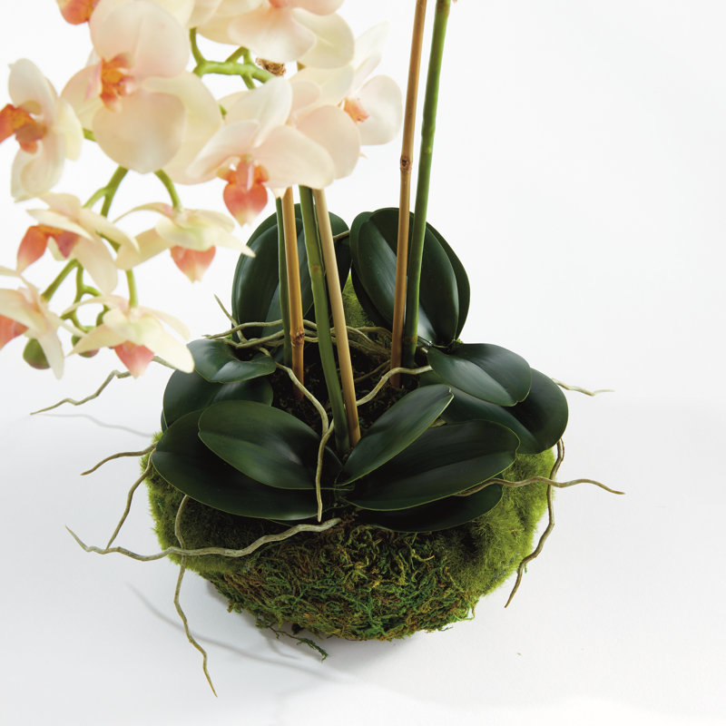 Light Pink Orchid 16" Mini Garden Drop-In