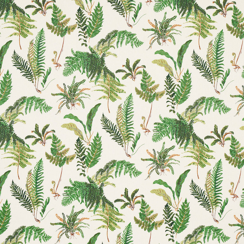 Les Fougeres Fabric, Document