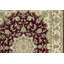 Castilian II Oriental Area Rug