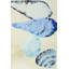 Shells II Print by Hable Construction-26943621-26943622