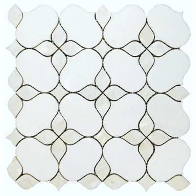 Carrelage mural 6 po x 6 po en marbre blanc Thassos