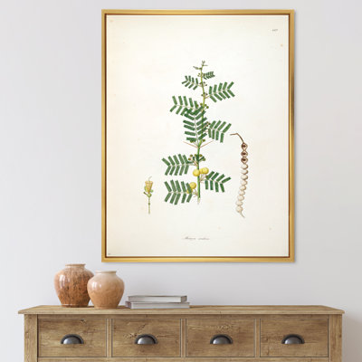 «Vintage Blossoming Flower III», peinture sur toile