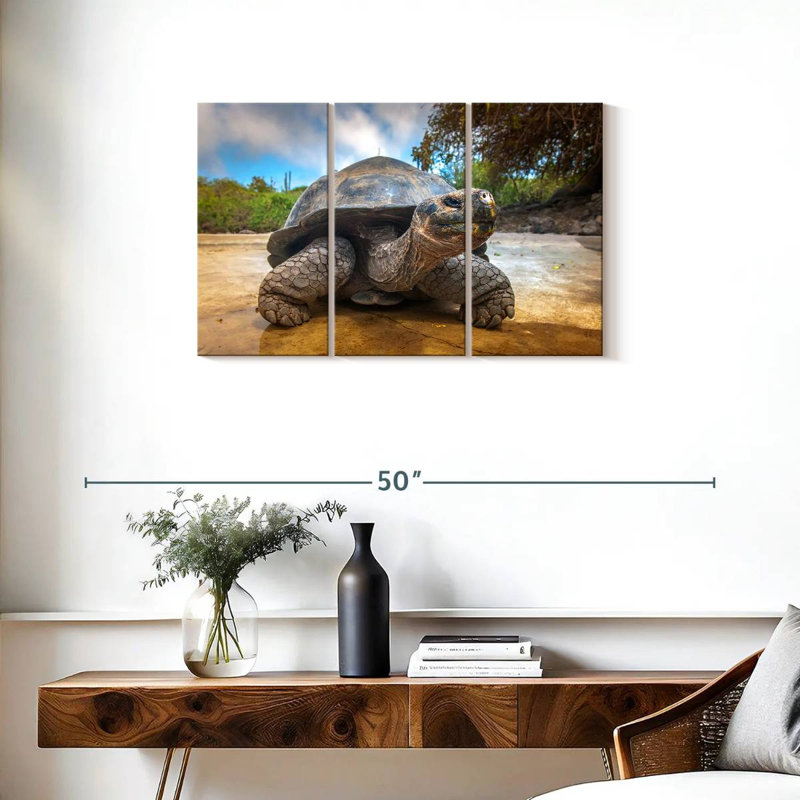 Galapagos Beach Tortoise, 20" H x 33" W