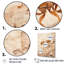 " Minimalism Ant Beige Collage I "-1444549305-1444549308