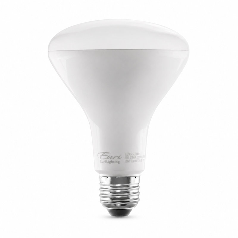 Ampoule DEL Euri Lighting BR30, 9 W, 810 lm, équivalent 65 W, 4 000 K, culot E26, dimmable, CEC/JA8, UL, 4000 Kelvins