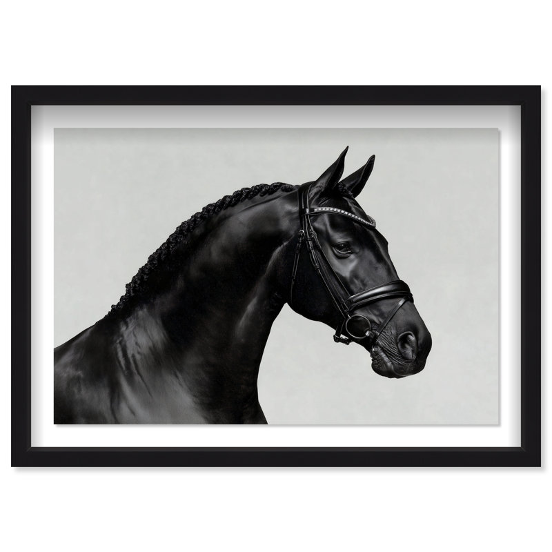 Midnight Majesty I Print by Oliver Gal, 31.5"H x 21.5"W, Black Shadowbox