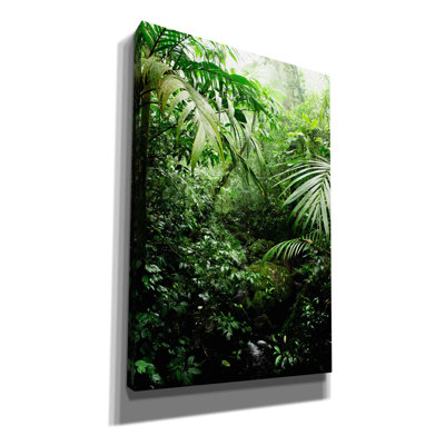 'Misty Rainforest Creek' by Nicklas Gustafsson Canvas Wall Art