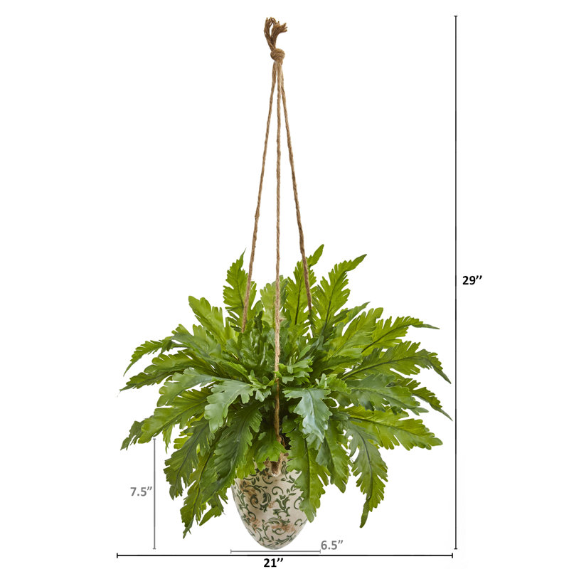 Vase de la plante dans un décoratif