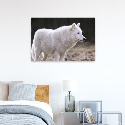 Arctic Wolf Abstract Contemporary Wolf Animal Nature Wall Art