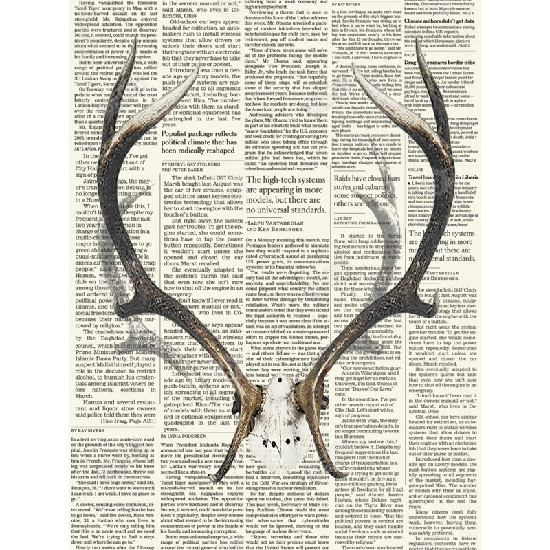 Deer Horns with Newspaper - Rustic Framed Canvas Decor