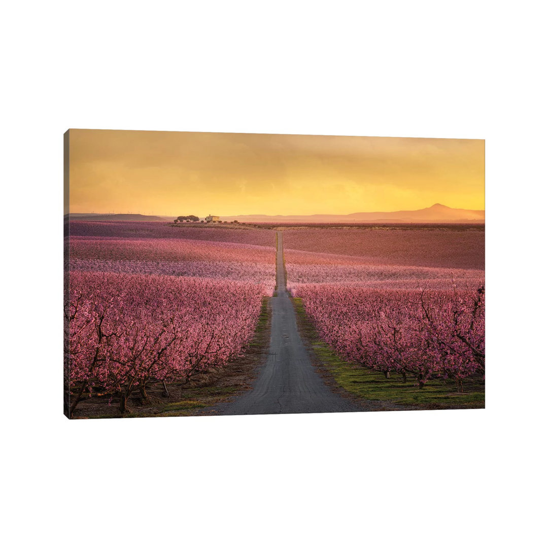 Flowering by Joaquin Guerola - Wrapped Canvas Print