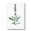 Lavender Illustration - Wrapped Canvas Painting-55365161