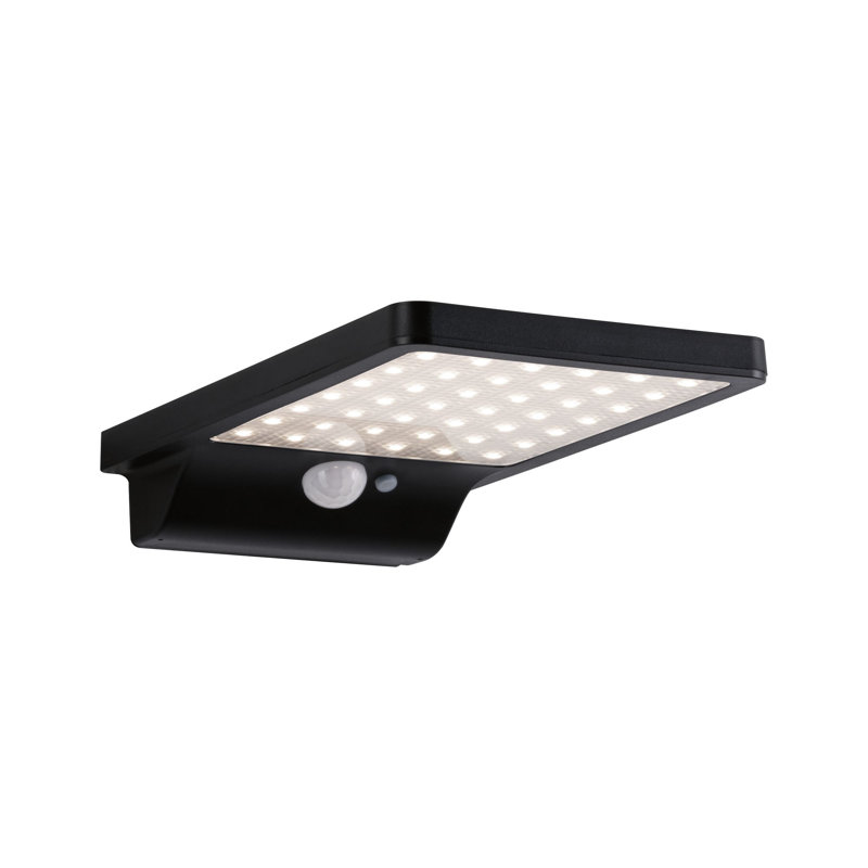 Solveig LED Solar Outdoor Flush Mount with Motion Sensor