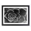 Succulent Plant - Picture Frame Painting Print-55613517-55613520