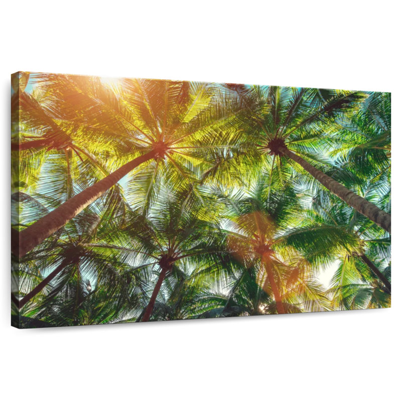 Harnek Sunrays Coconut Trees, 16" H x 24" W