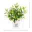 Feuilles de citron disposées dans un vase décoratif en céramique