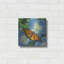 «Butterfly» par Durwood Coffey-781285517