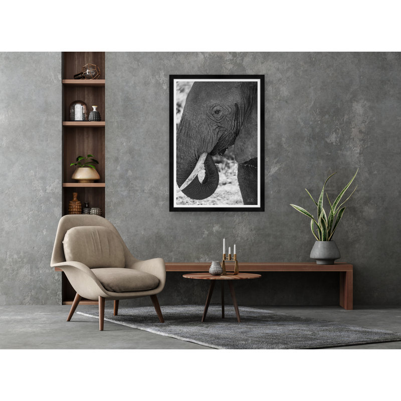 African Elephant Print by Tim Klein