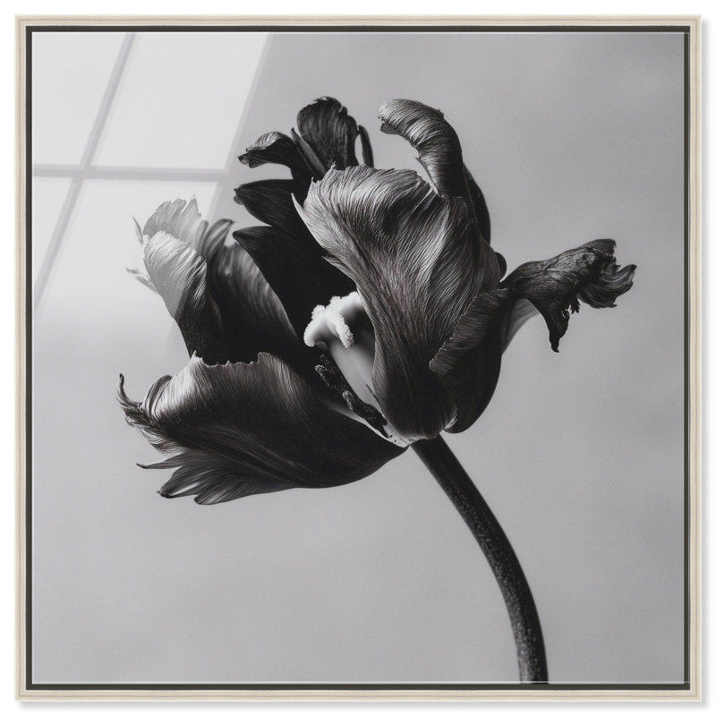 Tidal Wilt I Print by Oliver Gal, 41"H x 41"W, Silver Floater Frame