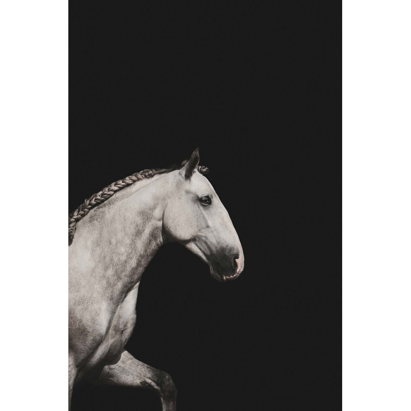 Equine Dream 2 Print, 60" H x 40" W x 2" D