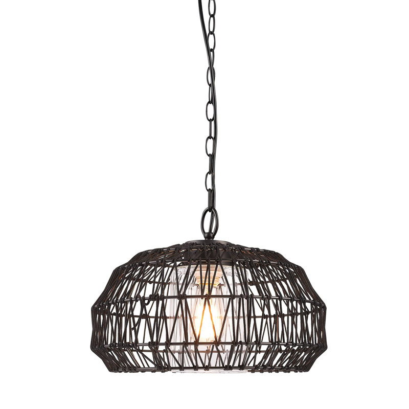 1 Light Outdoor Plug in Pendant Light