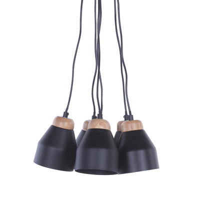 Abrahamson 6 - Light Cluster Pendant