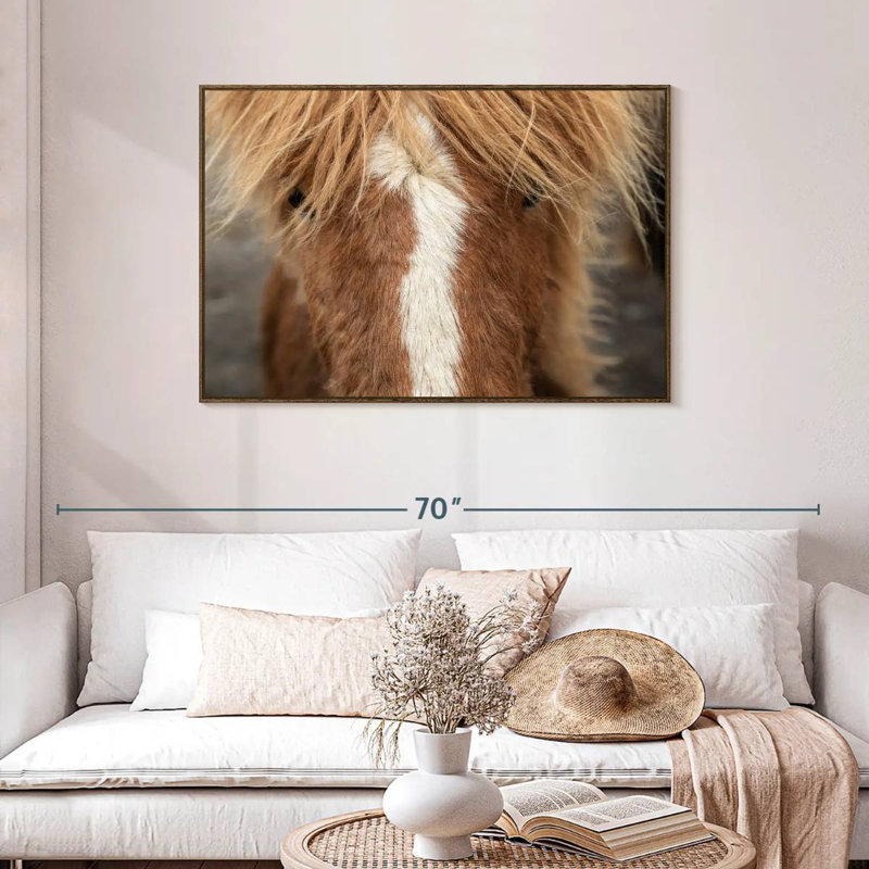 Gros plan d'un cheval Islandais, 43 po x 29 po, Cadre flottant noyer