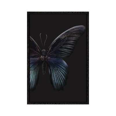 Black Butterfly on Grey 1 Piece Painting on Canvas