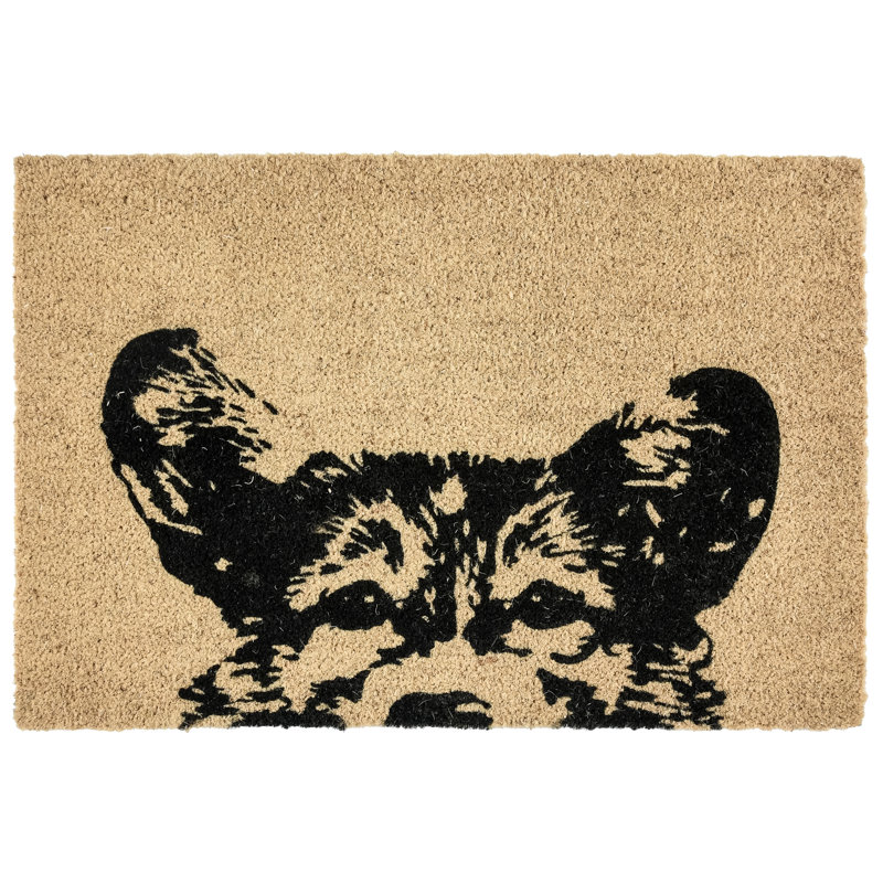 Sparky Coir Door Mat