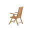 Sehgal Patio Dining Armchair with Cushion