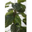 Plante à feuillage artificiel 40 po Panama-2032339932