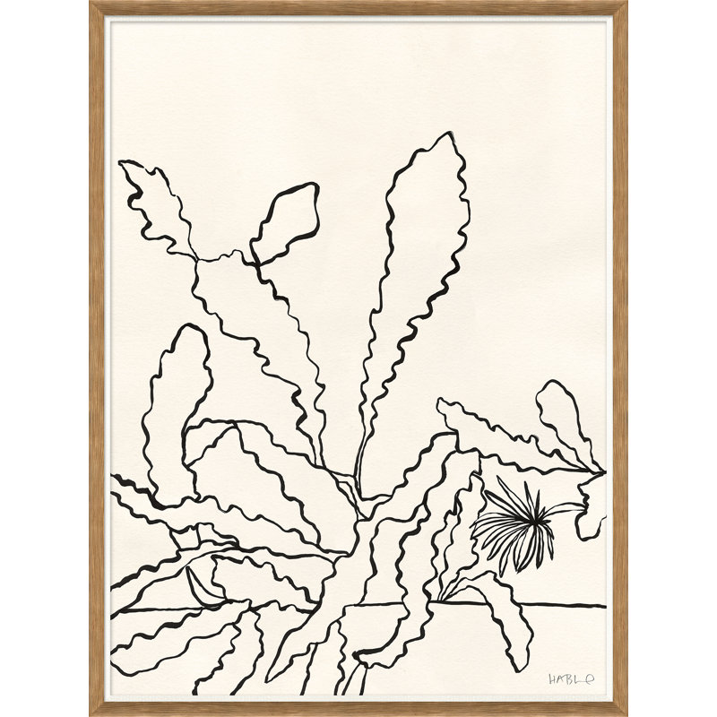 Sedum Giclee Print by Susan Hable
