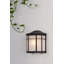 Edwin Black Outdoor Wall Lantern