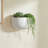 Luna Handmade Ceramic Gloss White Wall Vase
