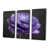 Black Floater Framed Canvas
