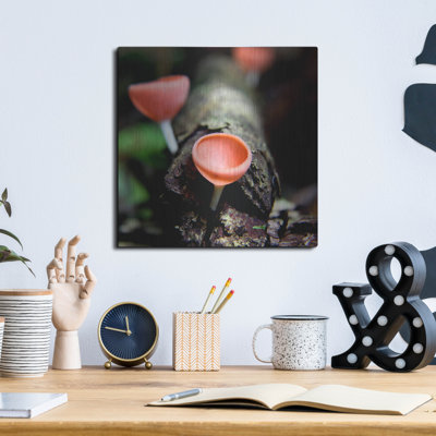 " Fungus " Print