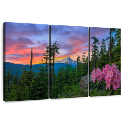 Alvord Mount Hood Forest