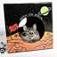 Maison pour chat Ermont