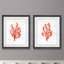 " Coral Kelp I " 2 - Pieces Painting Print