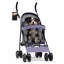 Poussette pour chien avec poussette réglable